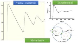 seminario31enero