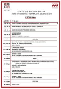 Pleno Jurisdiccional 2019