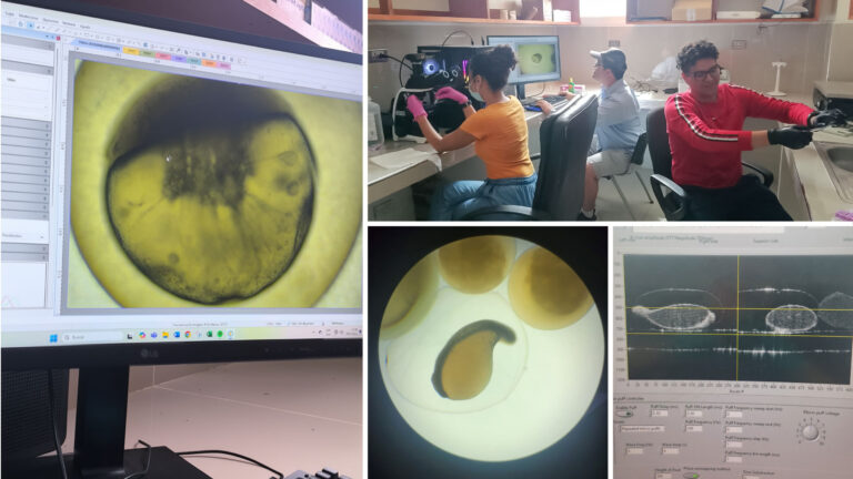 Vicerrectorado de Investigación