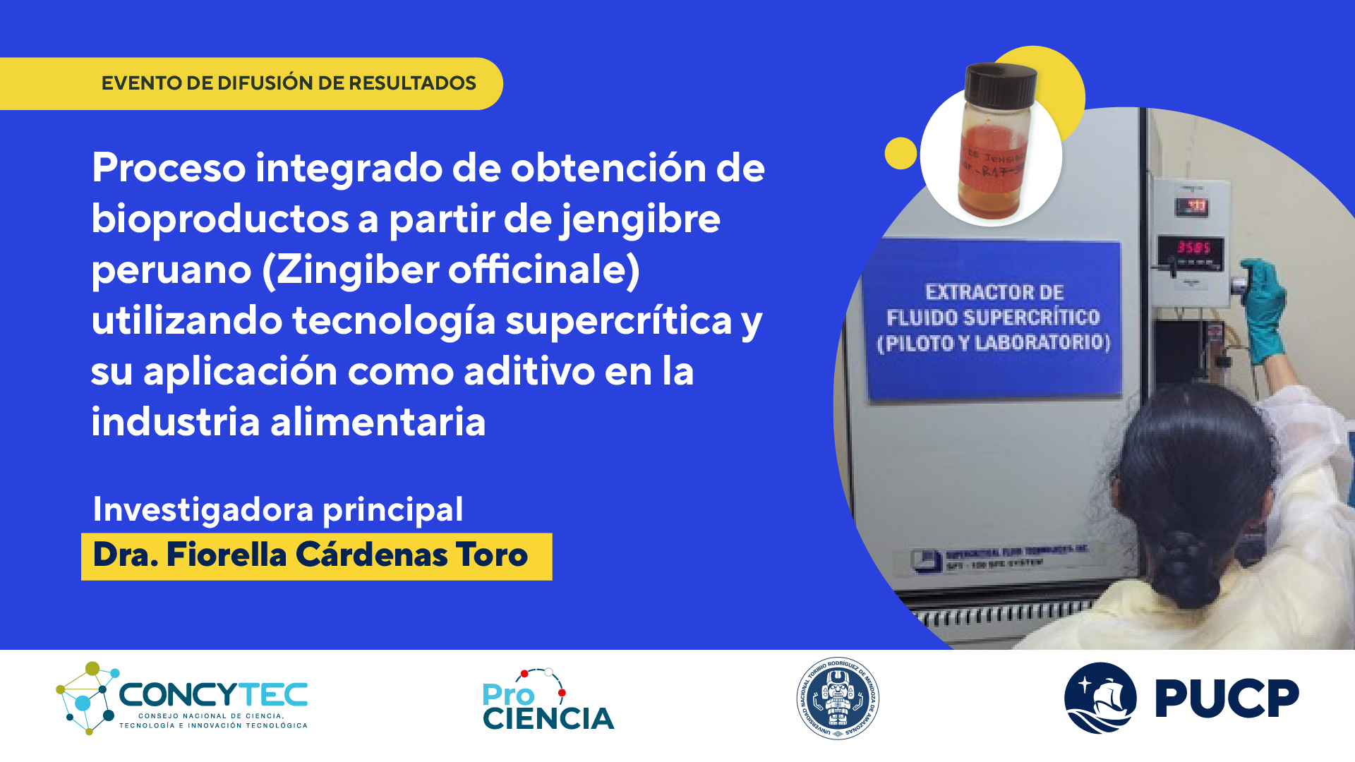 Vicerrectorado de Investigación