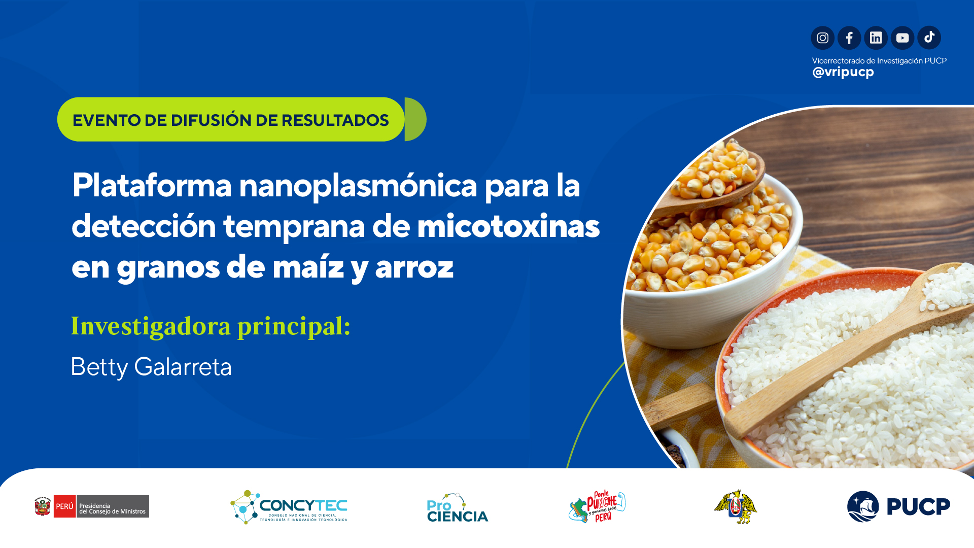 Vicerrectorado de Investigación