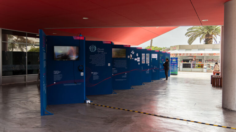 Vicerrectorado de Investigación