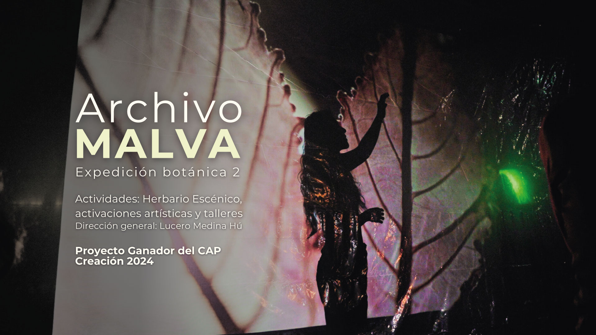 Vicerrectorado de Investigación