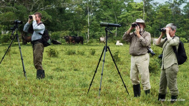 Vicerrectorado de Investigación