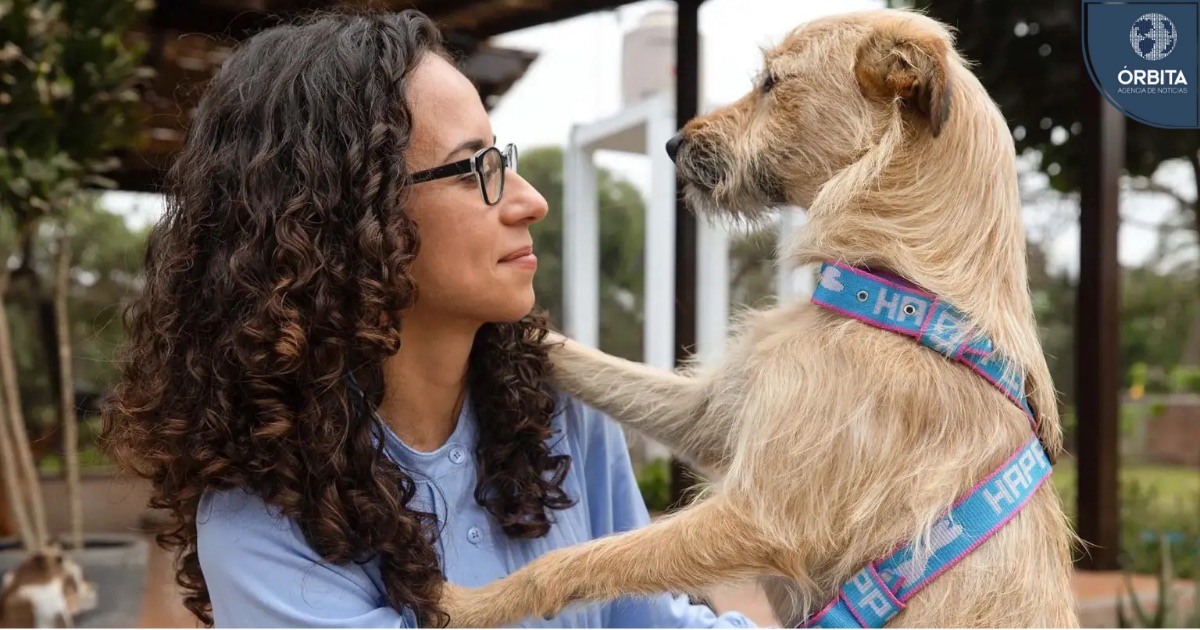 Adiós a las mascotas perdidas: Nuevo chip funciona incluso sin conexión ...