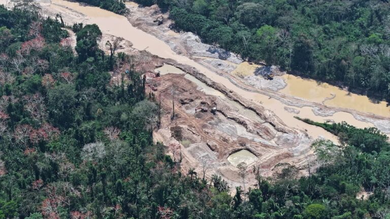 Vicerrectorado de Investigación