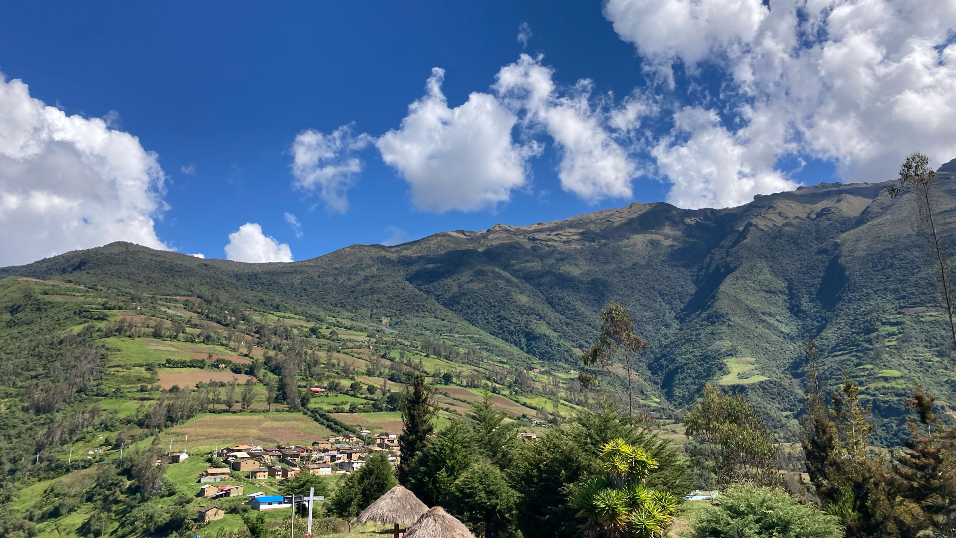 Vicerrectorado de Investigación