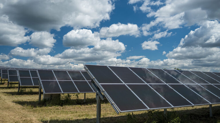 Vicerrectorado de Investigación