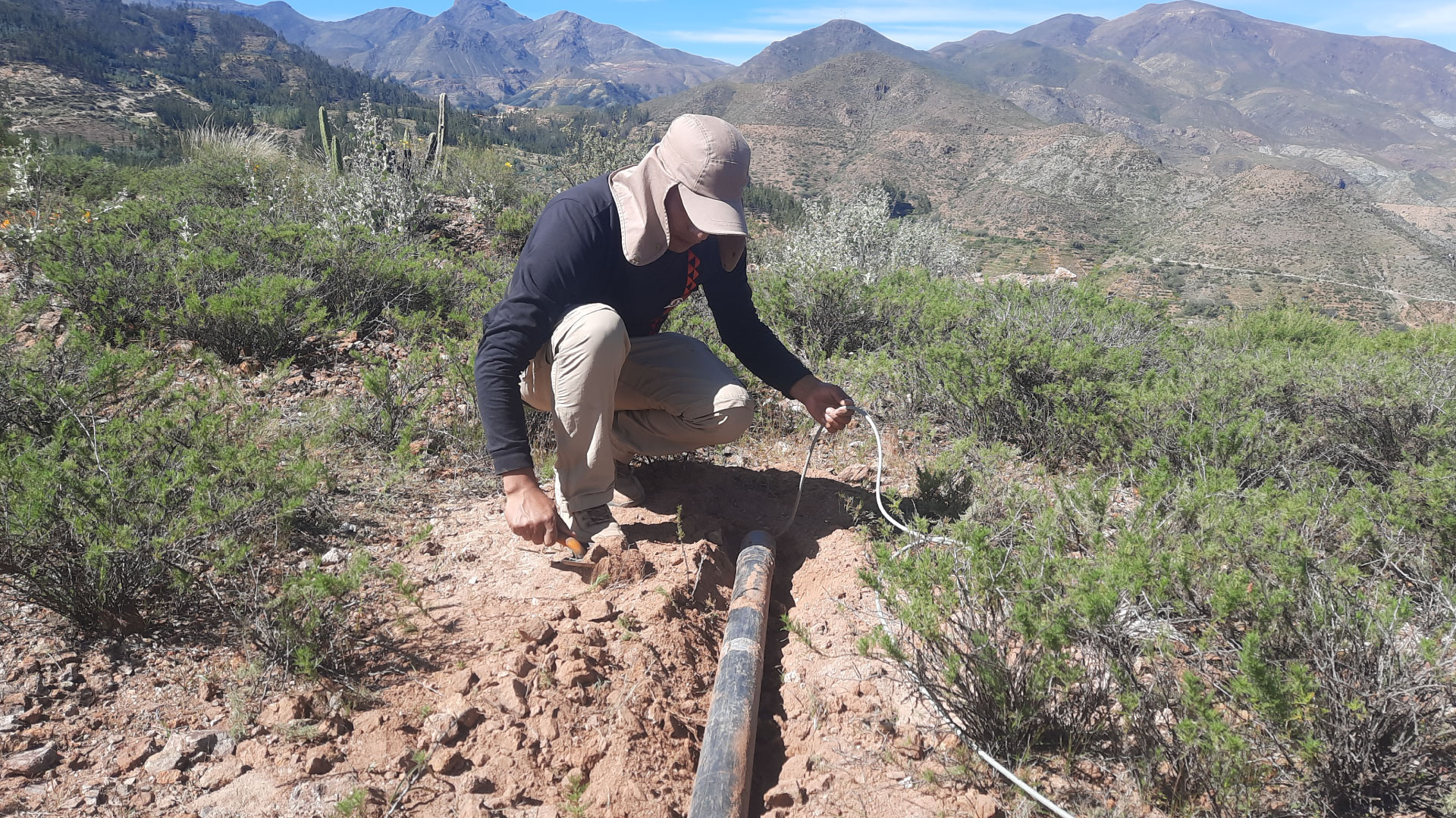 Vicerrectorado de Investigación