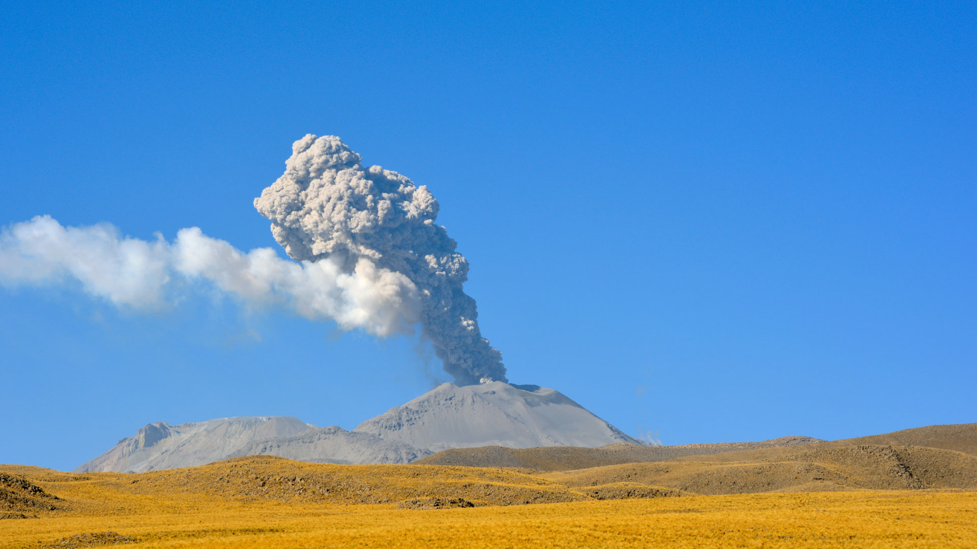 Vicerrectorado de Investigación