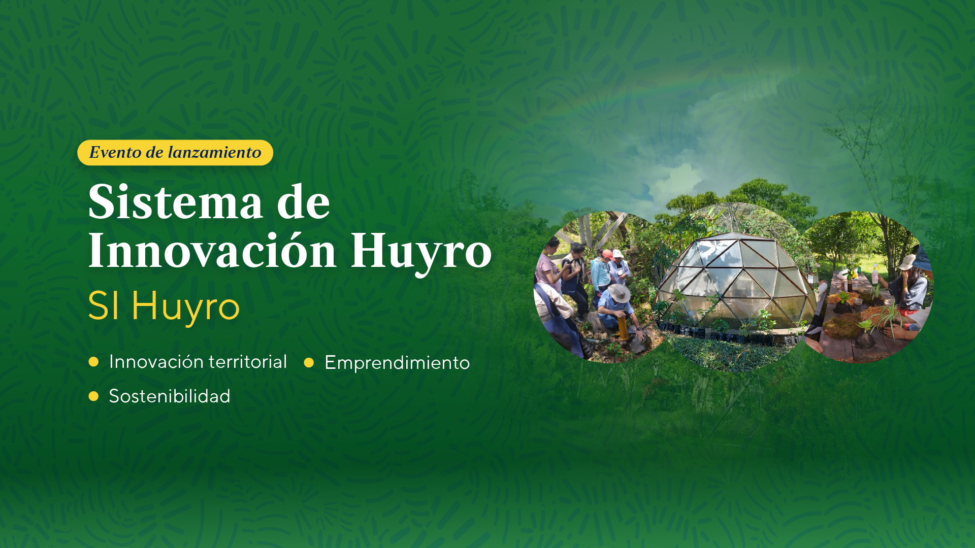 Vicerrectorado de Investigación