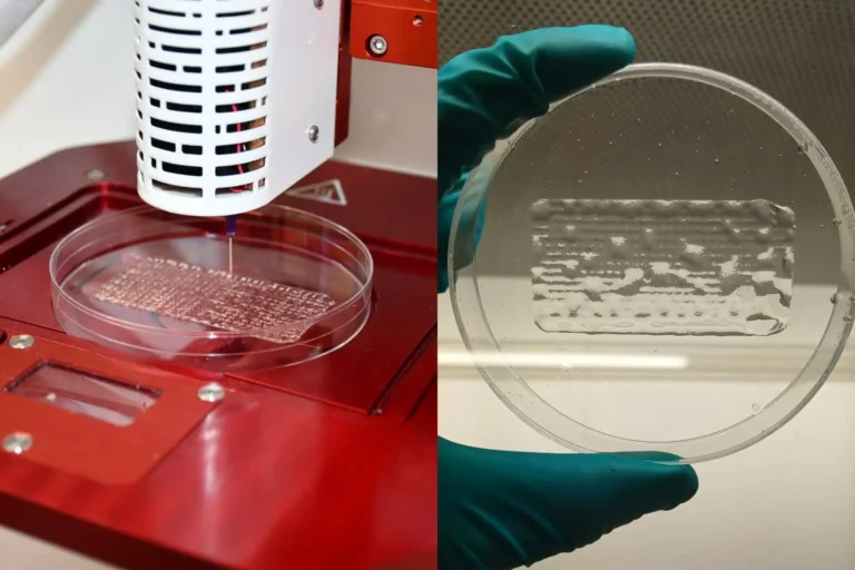 Vicerrectorado de Investigación