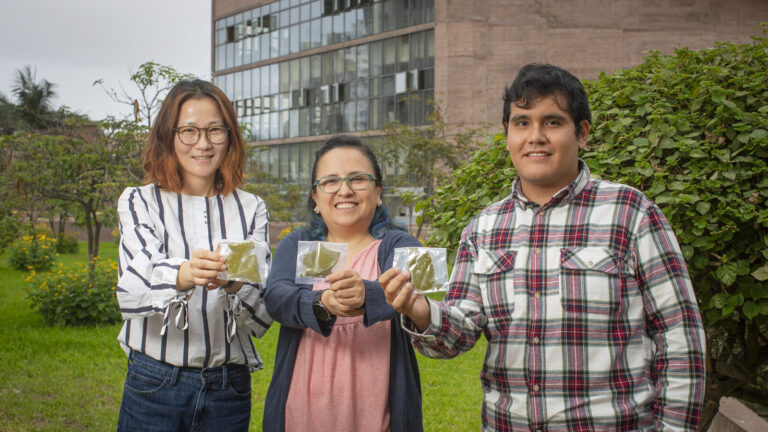 Vicerrectorado de Investigación